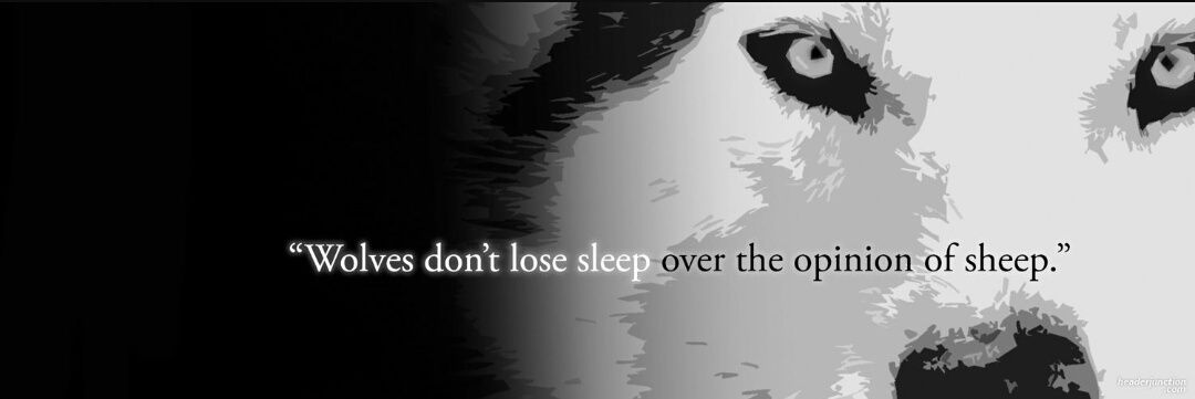 ChaseDoutt's profile banner image