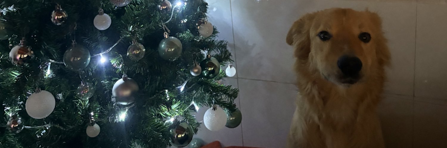 WCarballero's profile banner image