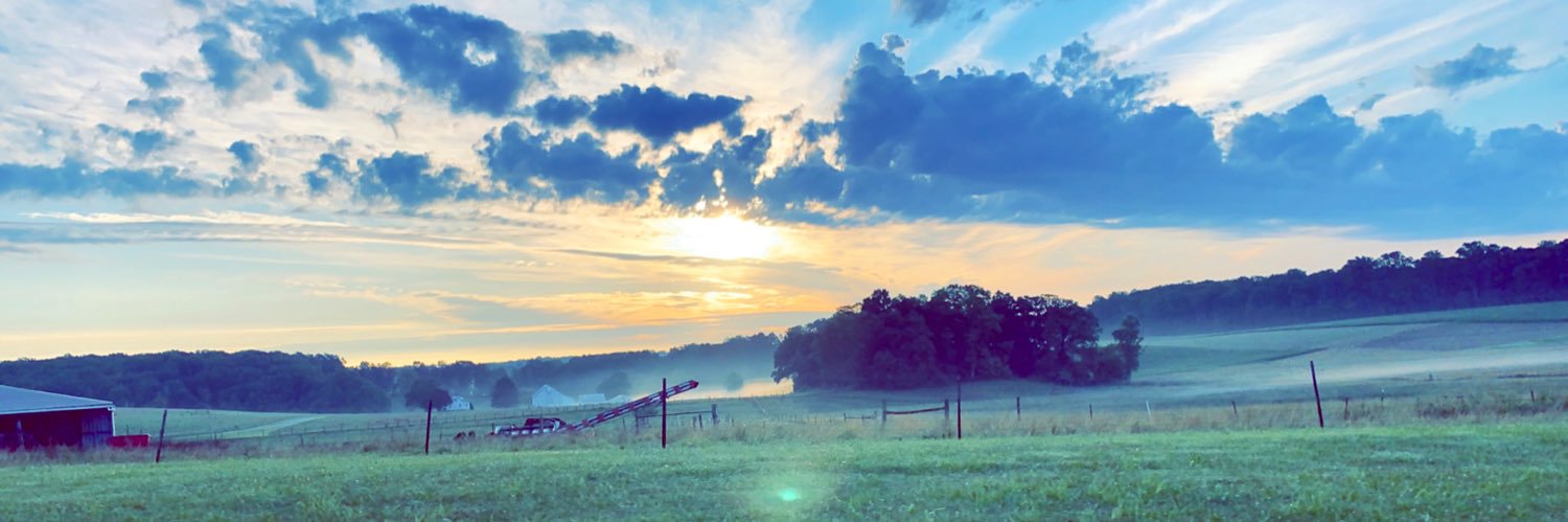 Chase_Gallo's profile banner image