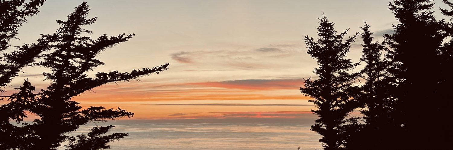 SydneyHenlin's profile banner image