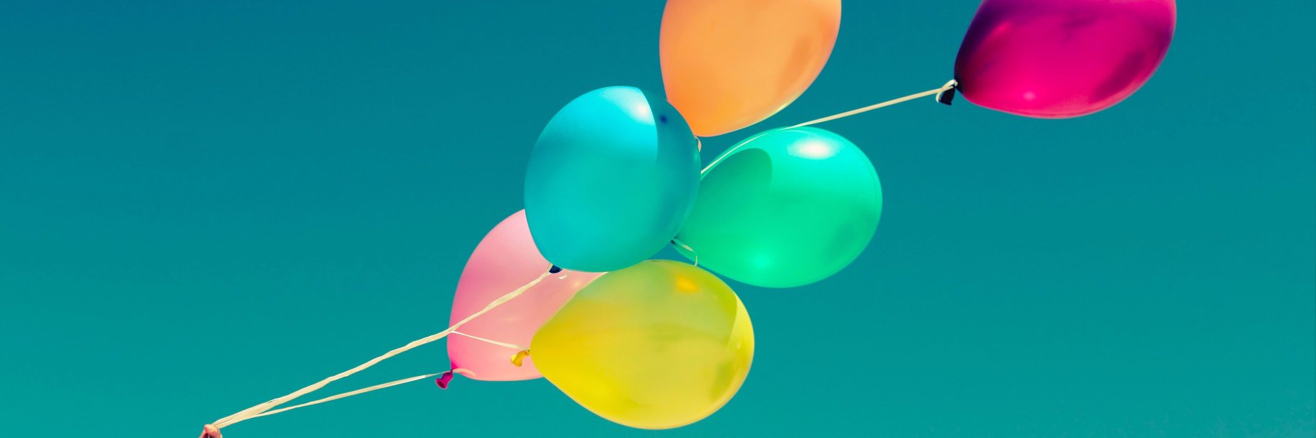 belivelynow's profile banner image