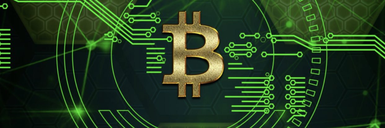 cryptobonek's profile banner image