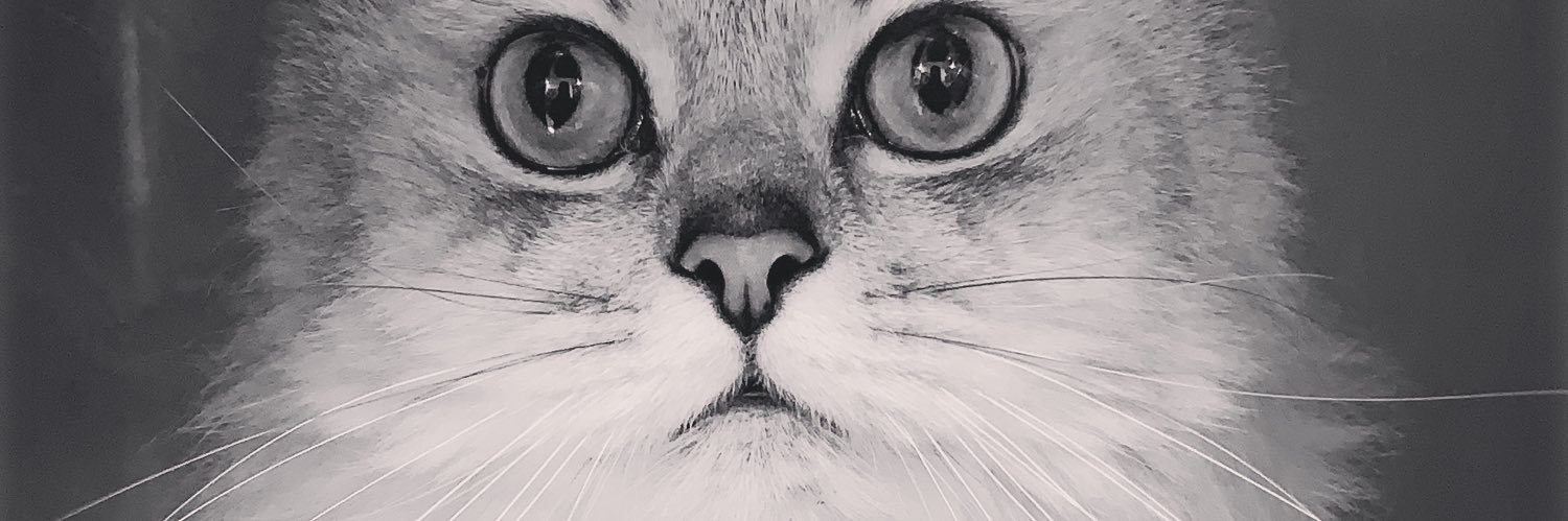 ashash72's profile banner image
