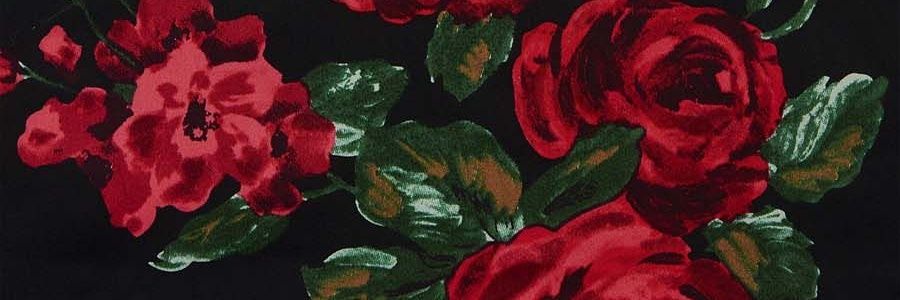 belly_sercon's profile banner image