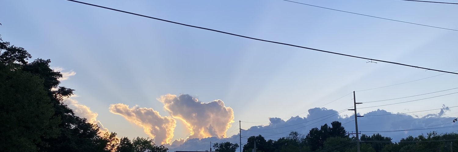 pierraleone's profile banner image