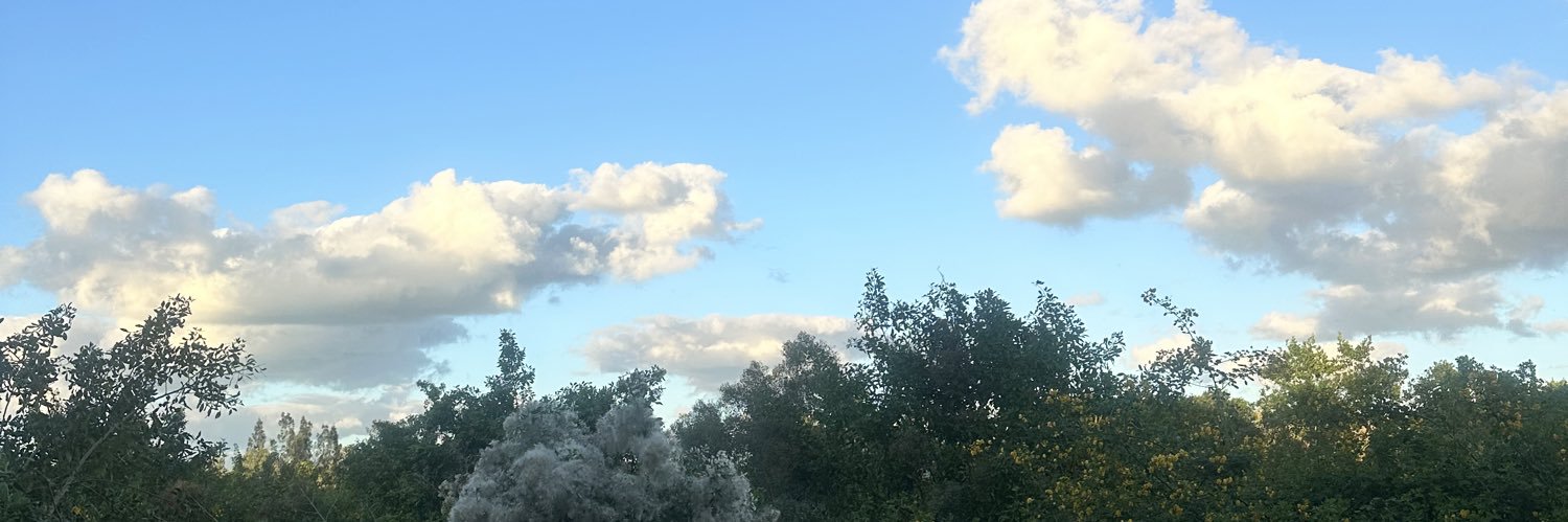 wilandrax's profile banner image