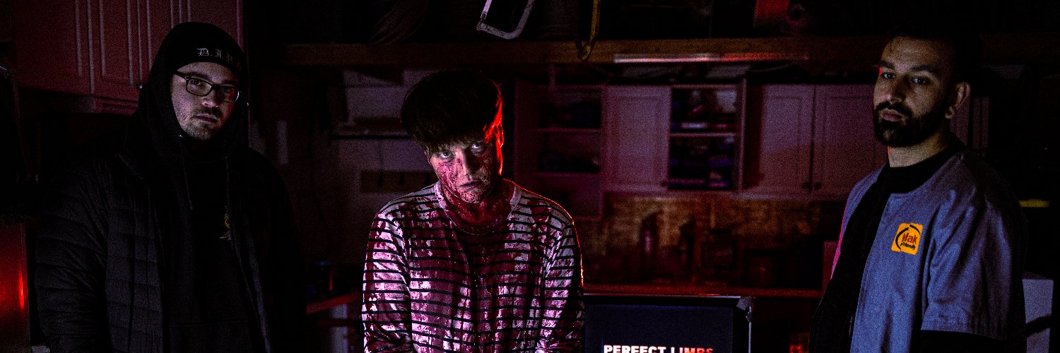 Perfect Limbs banner