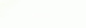 selenacachaper's profile banner image