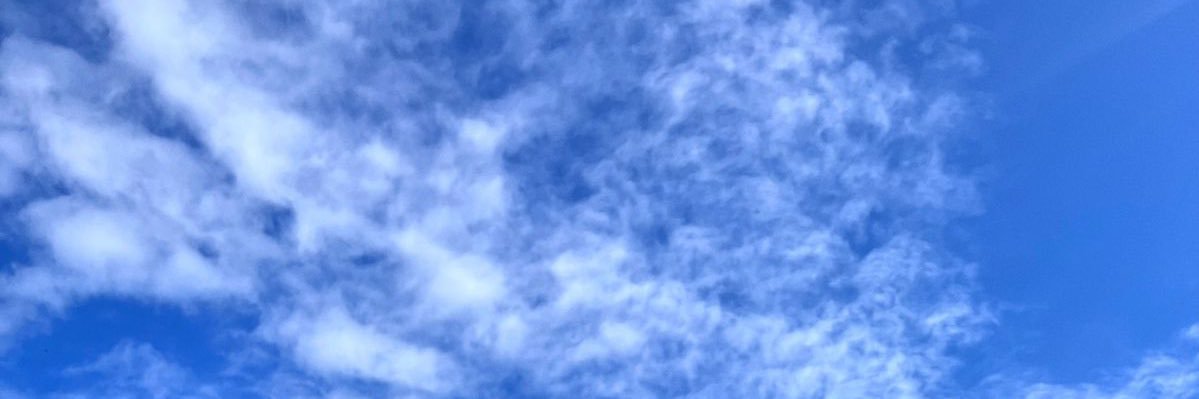 celine_heloise's profile banner image