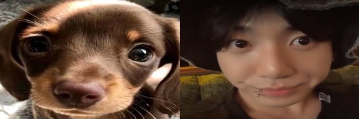 kookiwi_'s profile banner image