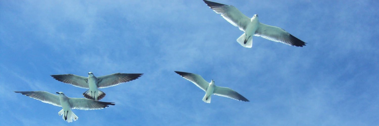 lmo_ojeda's profile banner image