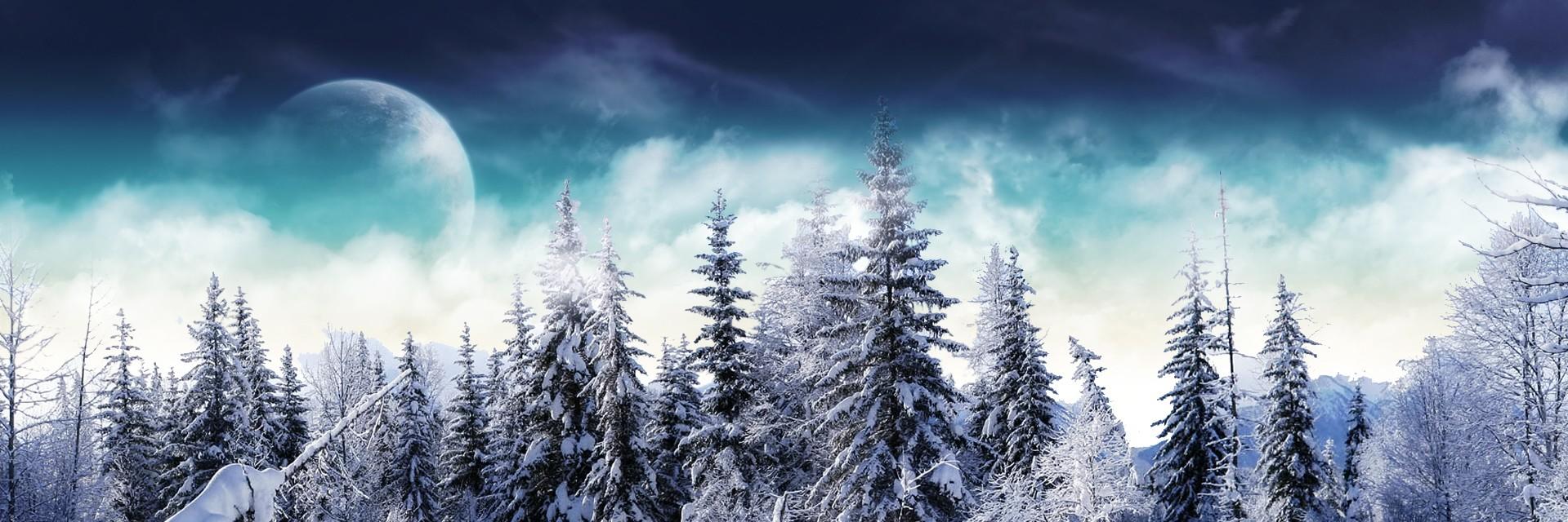 FoxColdMetal's profile banner image