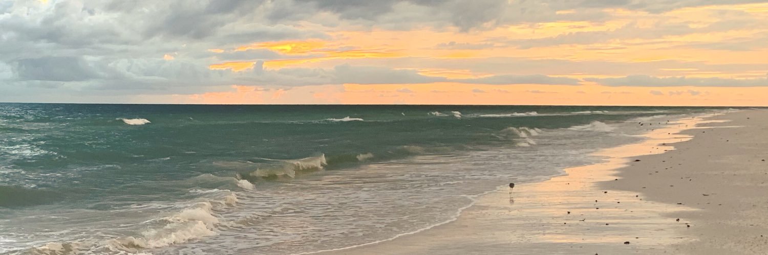 lexigamm's profile banner image