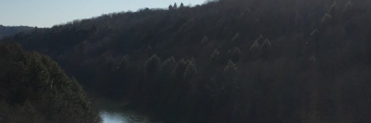 Seanyyboy68's profile banner image