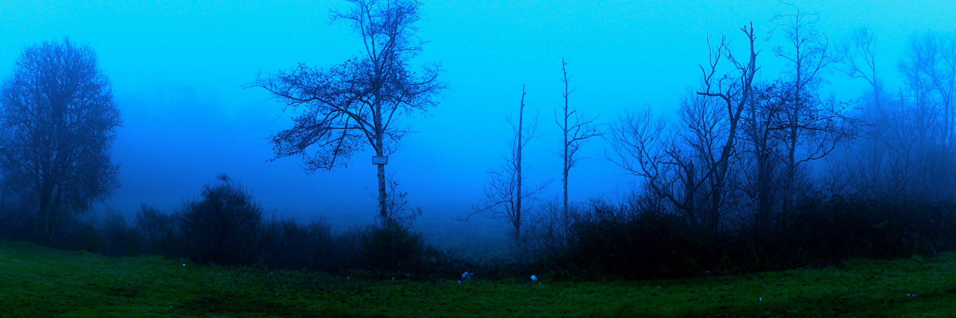 StrangerThan___'s profile banner image