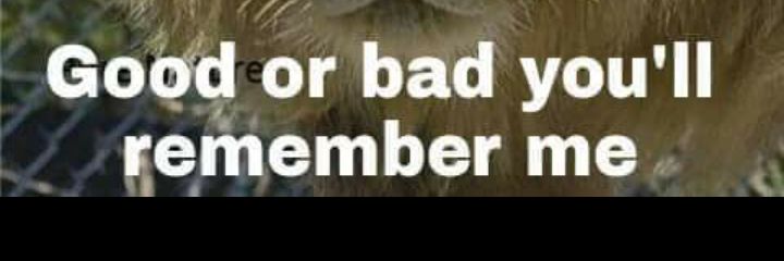 BrandonQuintana's profile banner image