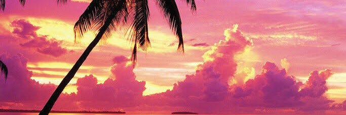 Jamar Johnson banner