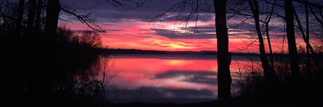 RoseBirdHanley's profile banner image