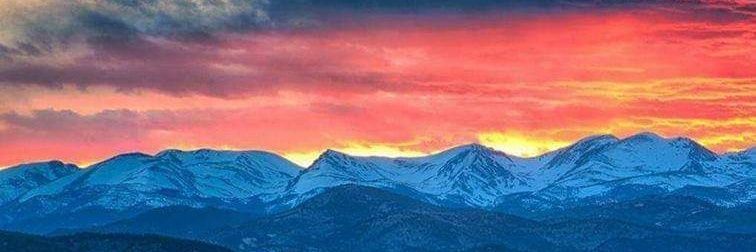 Robert Neville banner