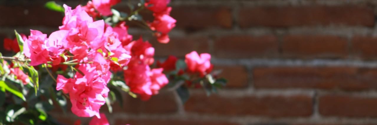 CzgJennifer's profile banner image