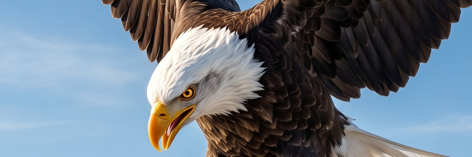 eagle_eagle_m's profile banner image