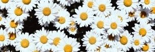 VLissett1's profile banner image
