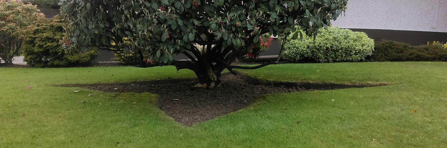 Babs 🏴󠁧󠁢󠁳󠁣󠁴󠁿🏴󠁧󠁢󠁳󠁣󠁴󠁿🏴󠁧󠁢󠁳󠁣󠁴󠁿 banner