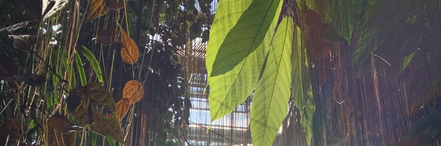 sammwhy_'s profile banner image
