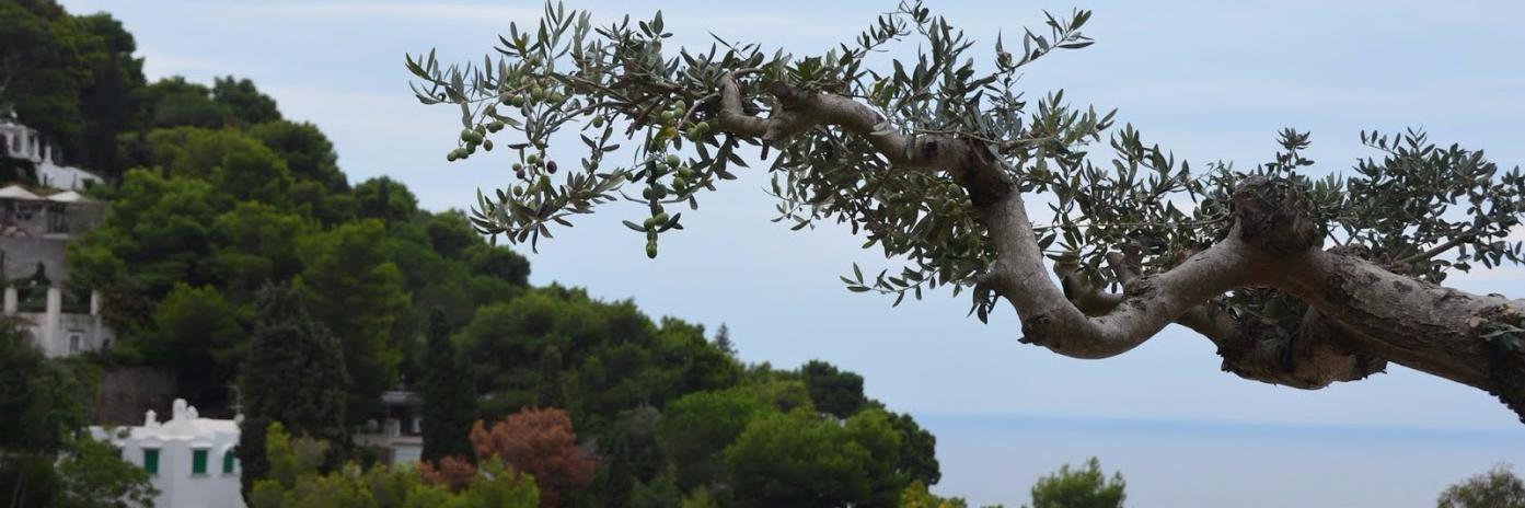 BianaLanson's profile banner image