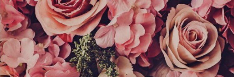 AlisaAnne24's profile banner image