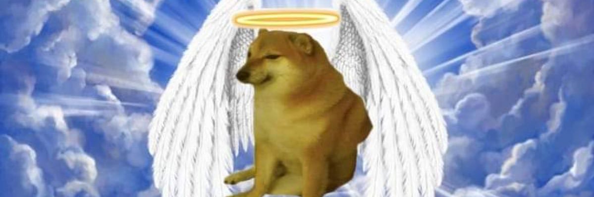 Alexdailey5's profile banner image