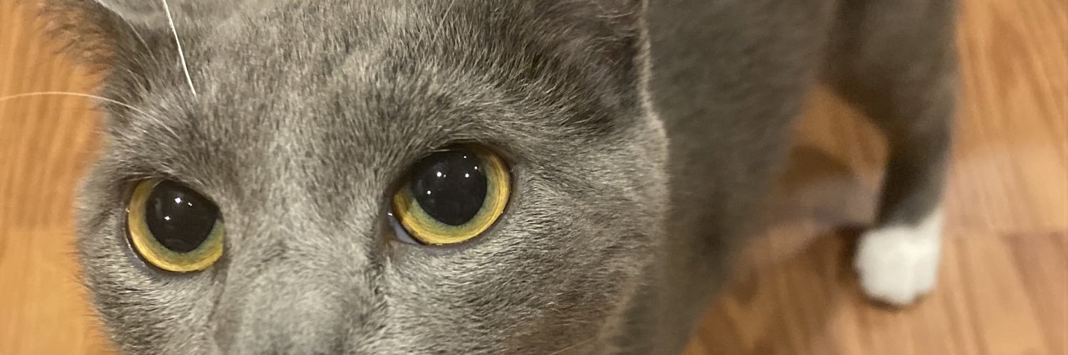 4nofo's profile banner image