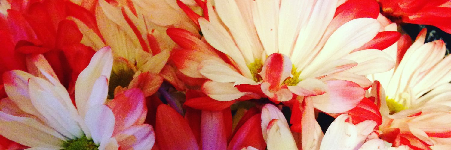 MeaganHammers's profile banner image