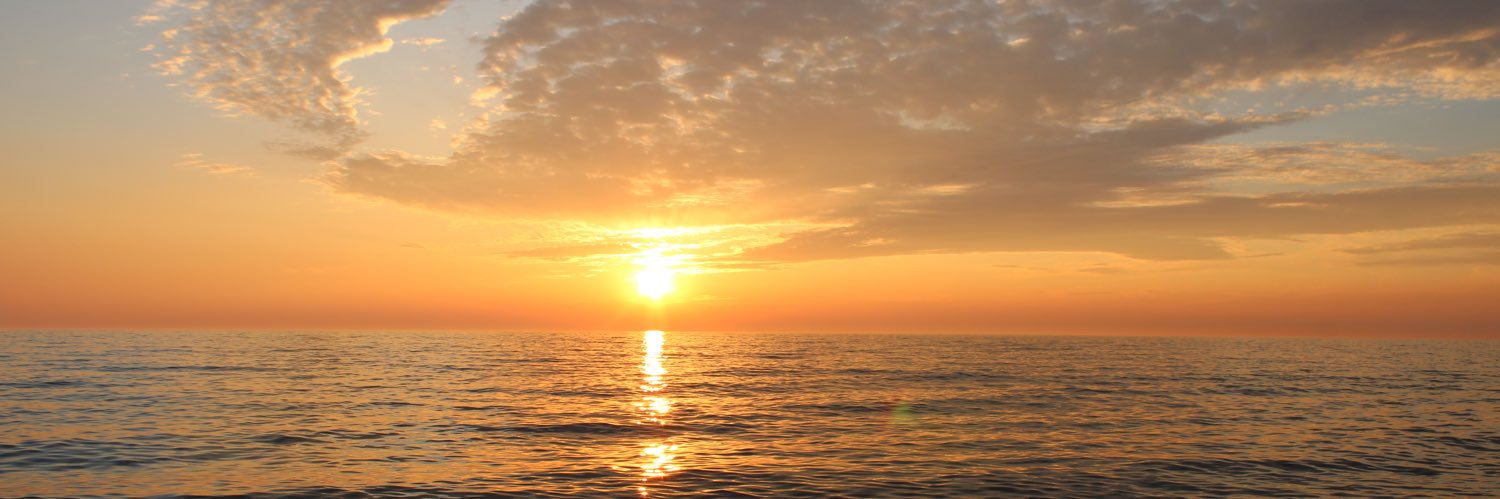 cole_ruffo2's profile banner image