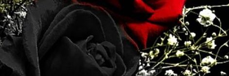 801_240's profile banner image