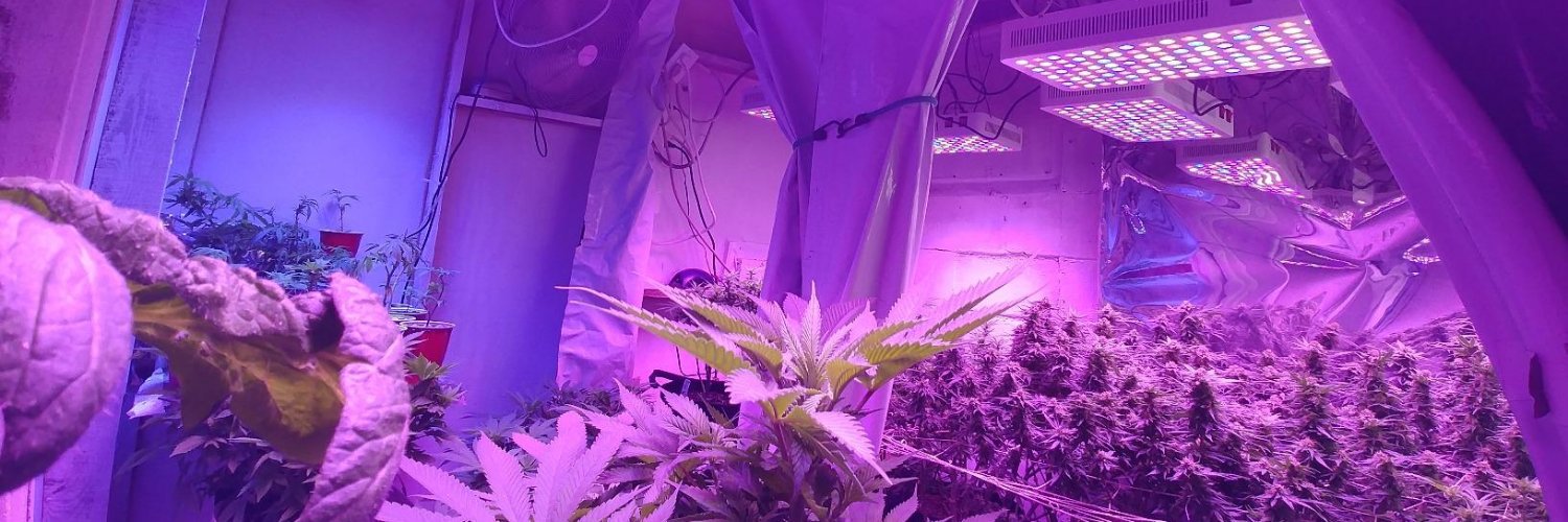 all led grow light banner