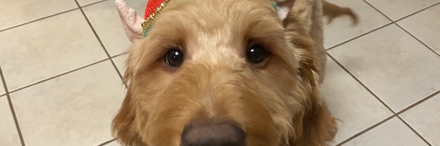 rachellance1's profile banner image