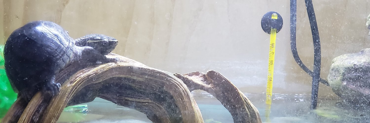 Tnerdyscience's profile banner image