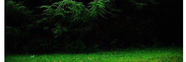 thee_SACK's profile banner image