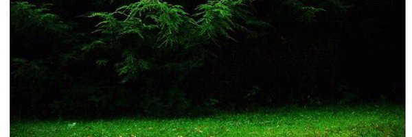 thee_SACK Profile Banner