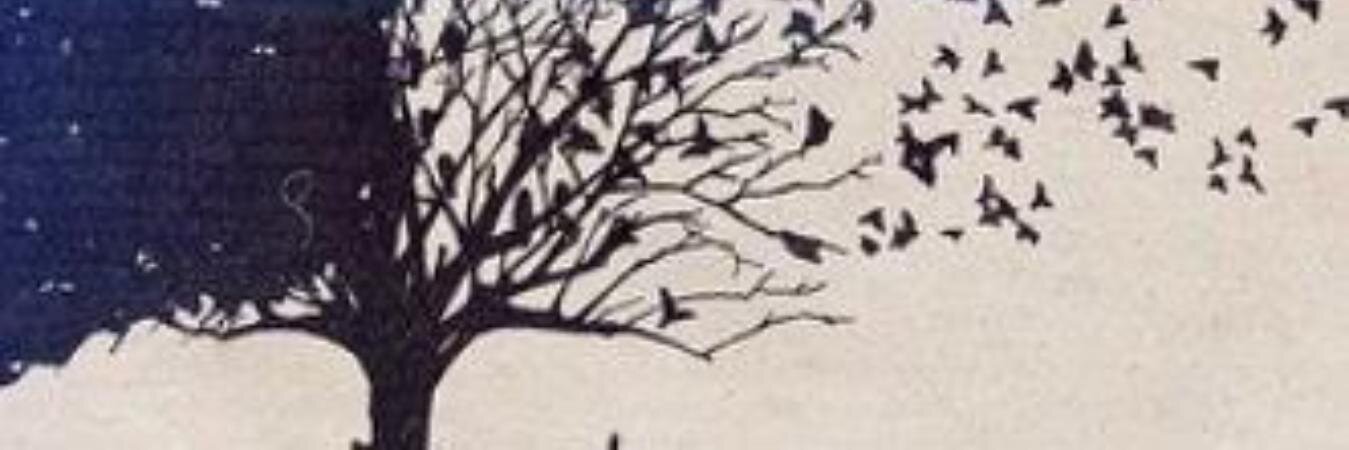 TooNiMu's profile banner image