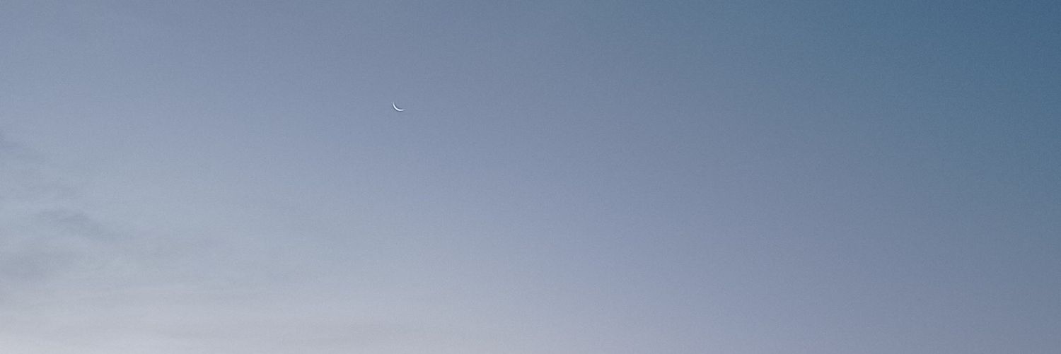 fortanest's profile banner image