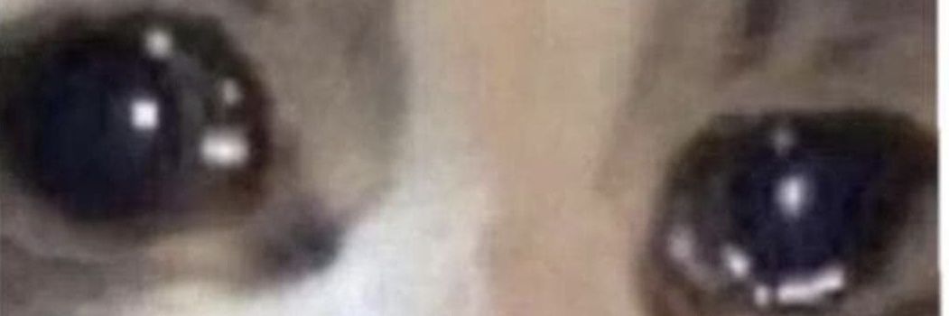 lui🍒🍂 banner