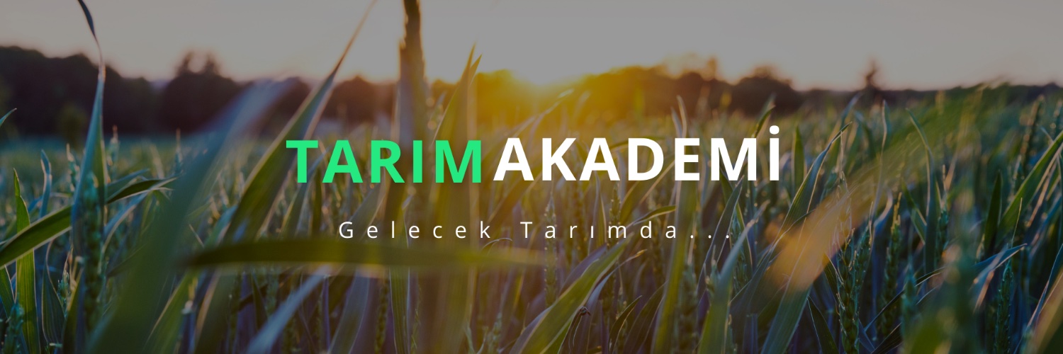 tarimakademiTr's profile banner image
