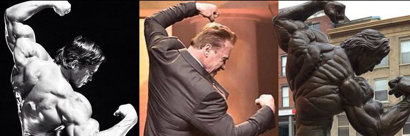 TheArnoldFans's profile banner image