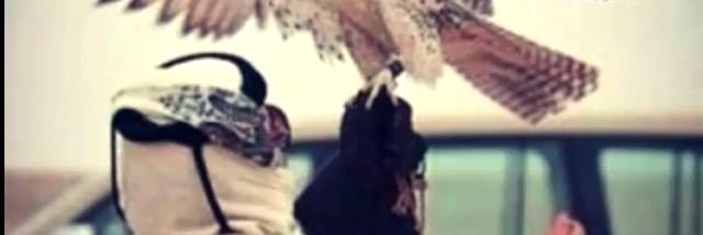 khaledAlsobie's profile banner image