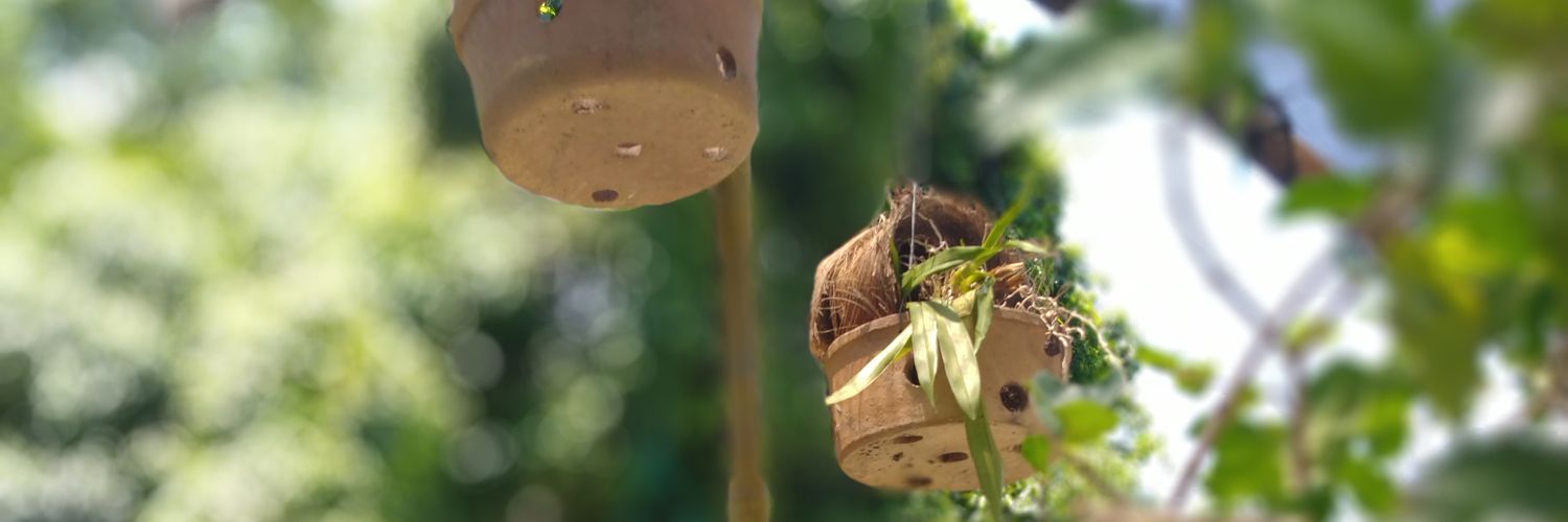 CaldeiraBob's profile banner image