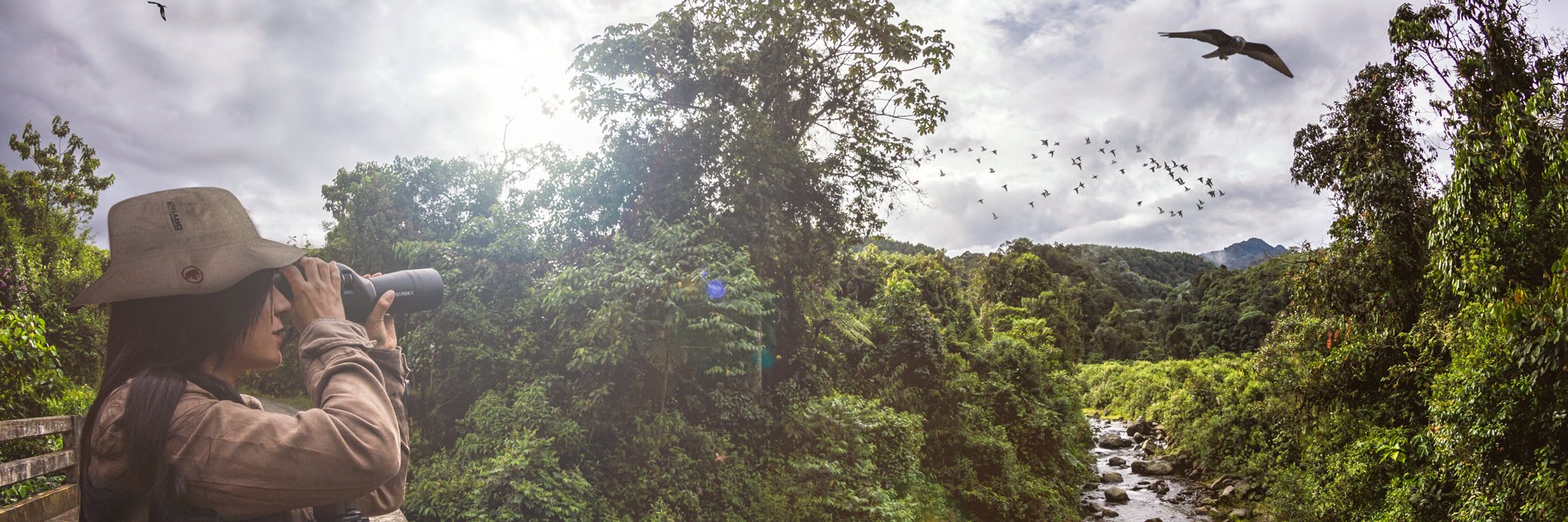 coladventure's profile banner image