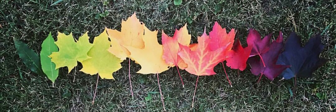 joshmilbourne's profile banner image