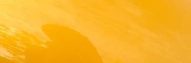 mailen_yatra's profile banner image